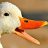 stuck duck